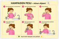 Hampaiden pesu – laminoitu kuvallinen A4-ohje